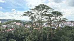The Skywoods (D23), Condominium #626611551